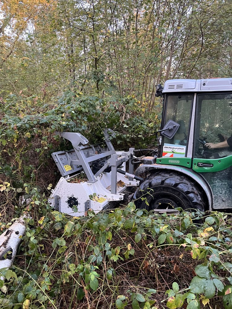 Traktor i gang med grenknusning af brombærbuske i skoven