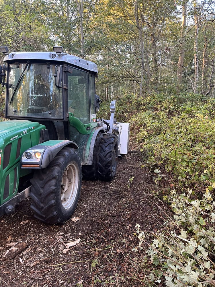 RN Naturpleje udfører præcis grenknusning i skov med kompakt traktor, der kommer sikkert frem i tæt terræn og åbner tilgroede områder effektivt.